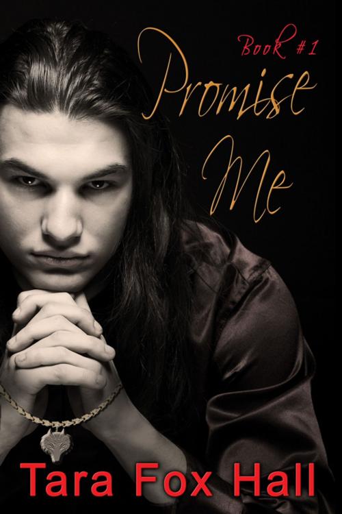Cover of the book Promise Me by Tara Fox Hall, Melange Books, LLC