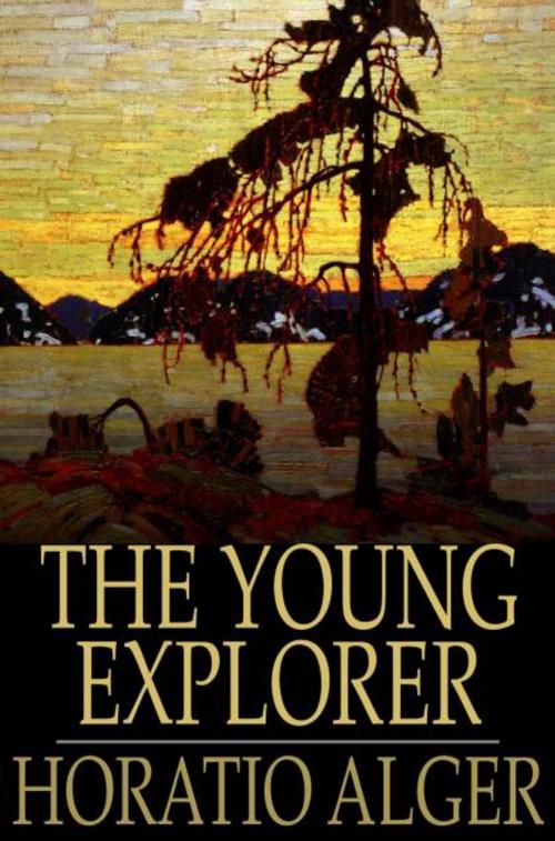 Cover of the book The Young Explorer by Horatio Alger, The Floating Press