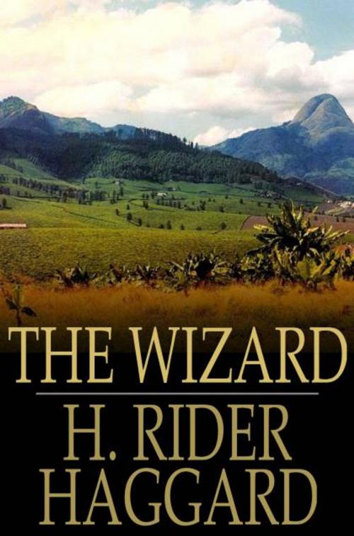 Cover of the book The Wizard by H. Rider Haggard, The Floating Press