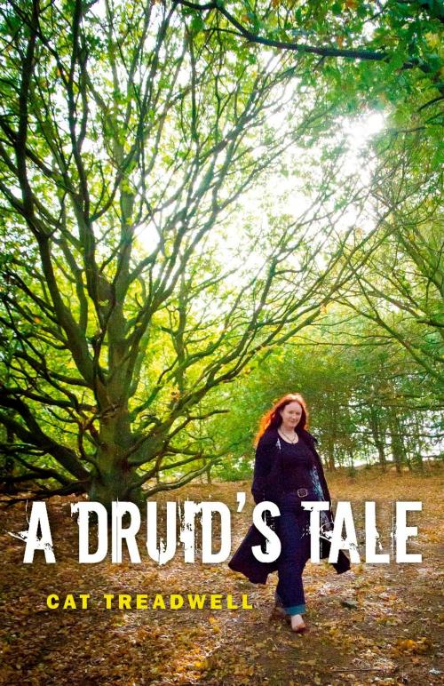 Cover of the book A Druid's Tale by Cat Treadwell, John Hunt Publishing