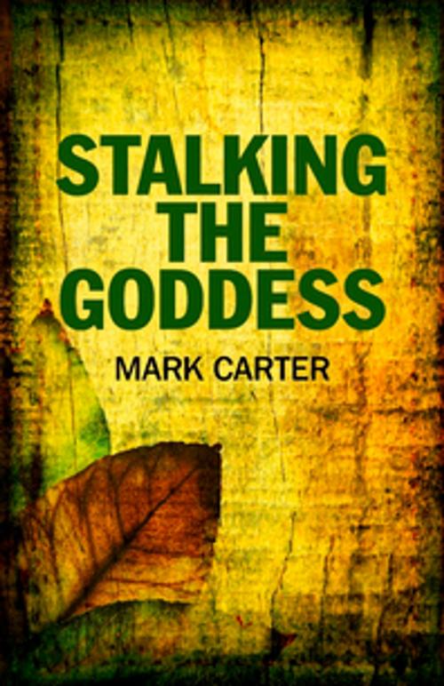 Cover of the book Stalking the Goddess by Mark Carter, John Hunt Publishing