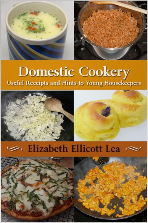 Cover of the book Domestic Cookery by Elizabeth Ellicott Lea, Andrews UK