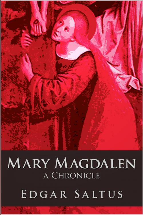 Cover of the book Mary Magdalen by Edgar Saltus, Andrews UK