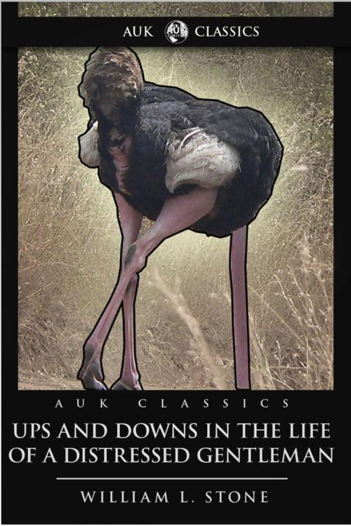 Cover of the book Ups and Downs in the Life of a Distressed Gentleman by William L. Stone, Andrews UK