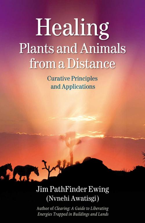 Cover of the book Healing Plants and Animals from a Distance by Jim PathFinder Ewing, Inner Traditions/Bear & Company