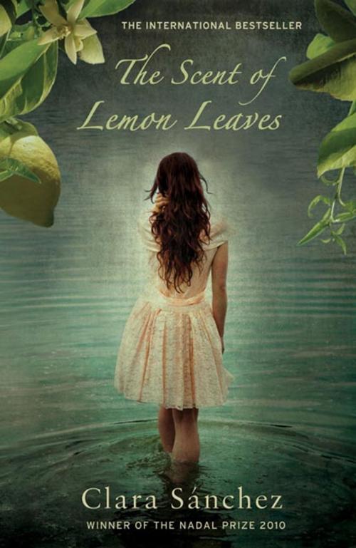 Cover of the book The Scent of Lemon Leaves by Clara Sanchez, Alma Books