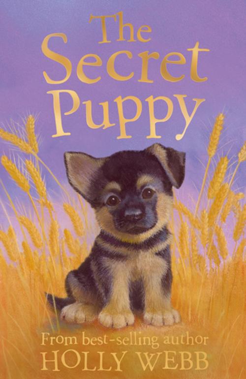 Cover of the book The Secret Puppy by Holly Webb, Stripes Publishing