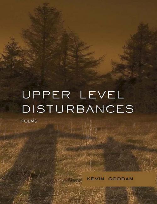 Cover of the book Upper Level Disturbances by Kevin Goodan, University Press of Colorado