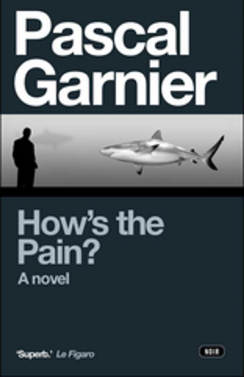 Cover of the book How's the Pain? by Pascal Garnier, Gallic Books