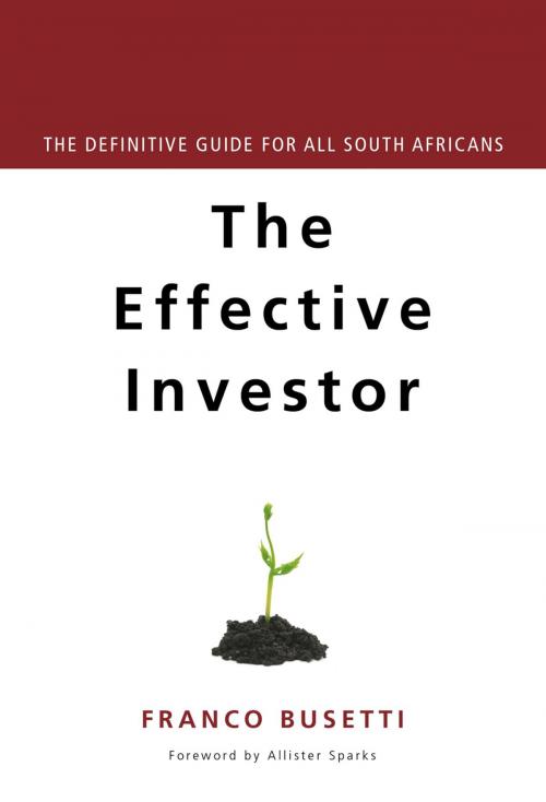 Cover of the book Effective Investor by Franco Busetti, Bookstorm