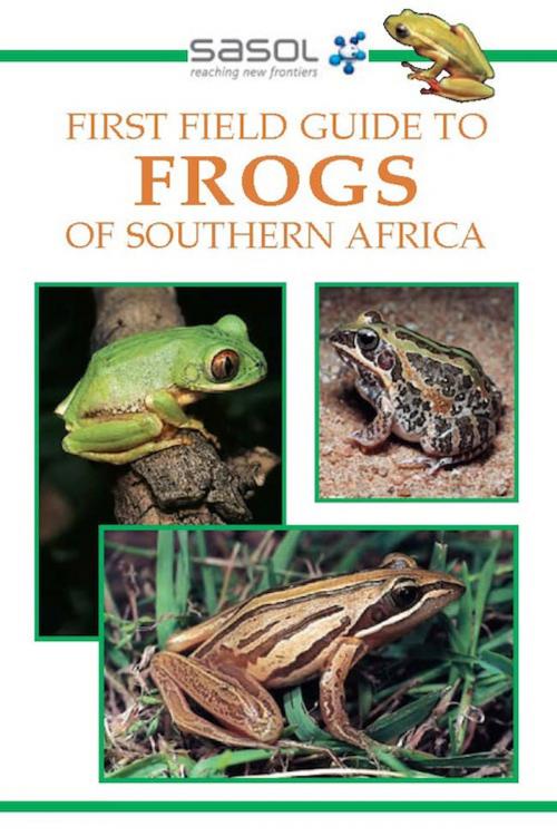 Cover of the book First Field Guide to Frogs of Southern Africa by Vincent Carruthers, Penguin Random House South Africa