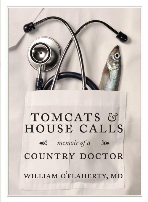 Cover of the book Tomcats and House Calls by Dr. William O'Flaherty, Boulder Publications
