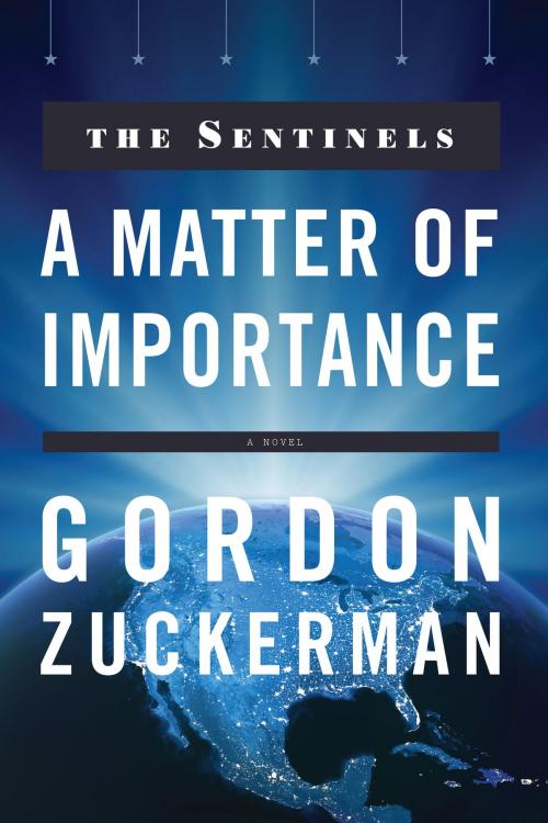 Cover of the book A Matter of Importance by Gordon Zuckerman, DSI Publications