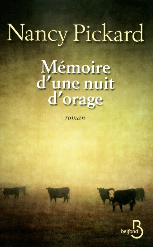 Cover of the book Mémoire d'une nuit d'orage by Nancy PICKARD, Place des éditeurs