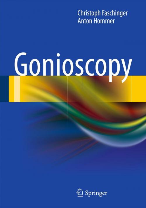Cover of the book Gonioscopy by Christoph Faschinger, Anton Hommer, Springer Berlin Heidelberg