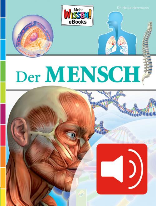 Cover of the book Der Mensch (vertont) by Dr. Heike Herrmann, Dr. med. Arne Hillienhoff, Schwager & Steinlein Verlag