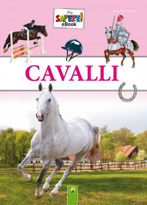 Cover of the book Cavalli by Anja Schriever, Schwager & Steinlein Verlag