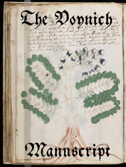 Cover of the book The Voynich Manuscript by Anonyme, e-artnow