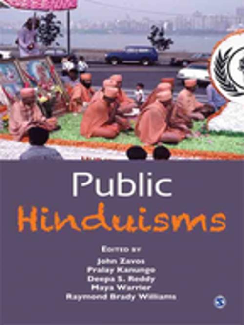 Cover of the book Public Hinduisms by , SAGE Publications
