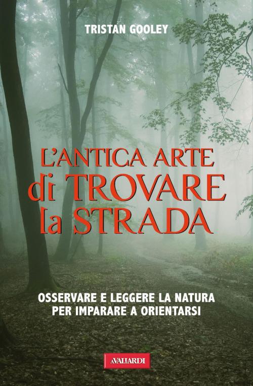 Cover of the book L'antica arte di trovare la strada by Tristan  Gooley, Vallardi