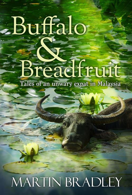 Cover of the book Buffalo & Breadfruit by Martin Bradley, Monsoon Books Pte. Ltd.