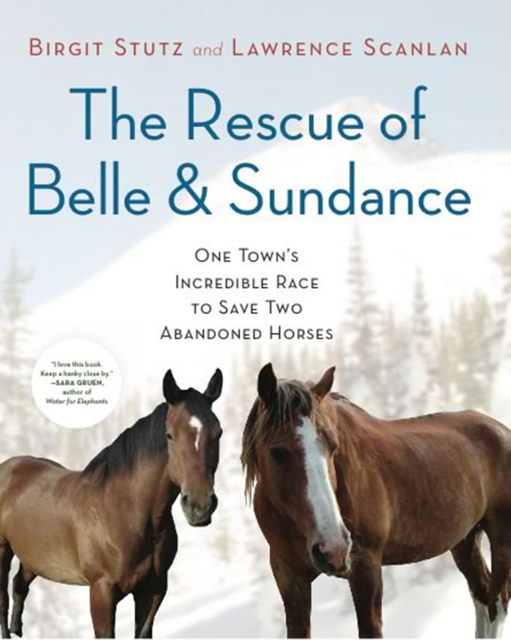 Big bigCover of The Rescue of Belle and Sundance
