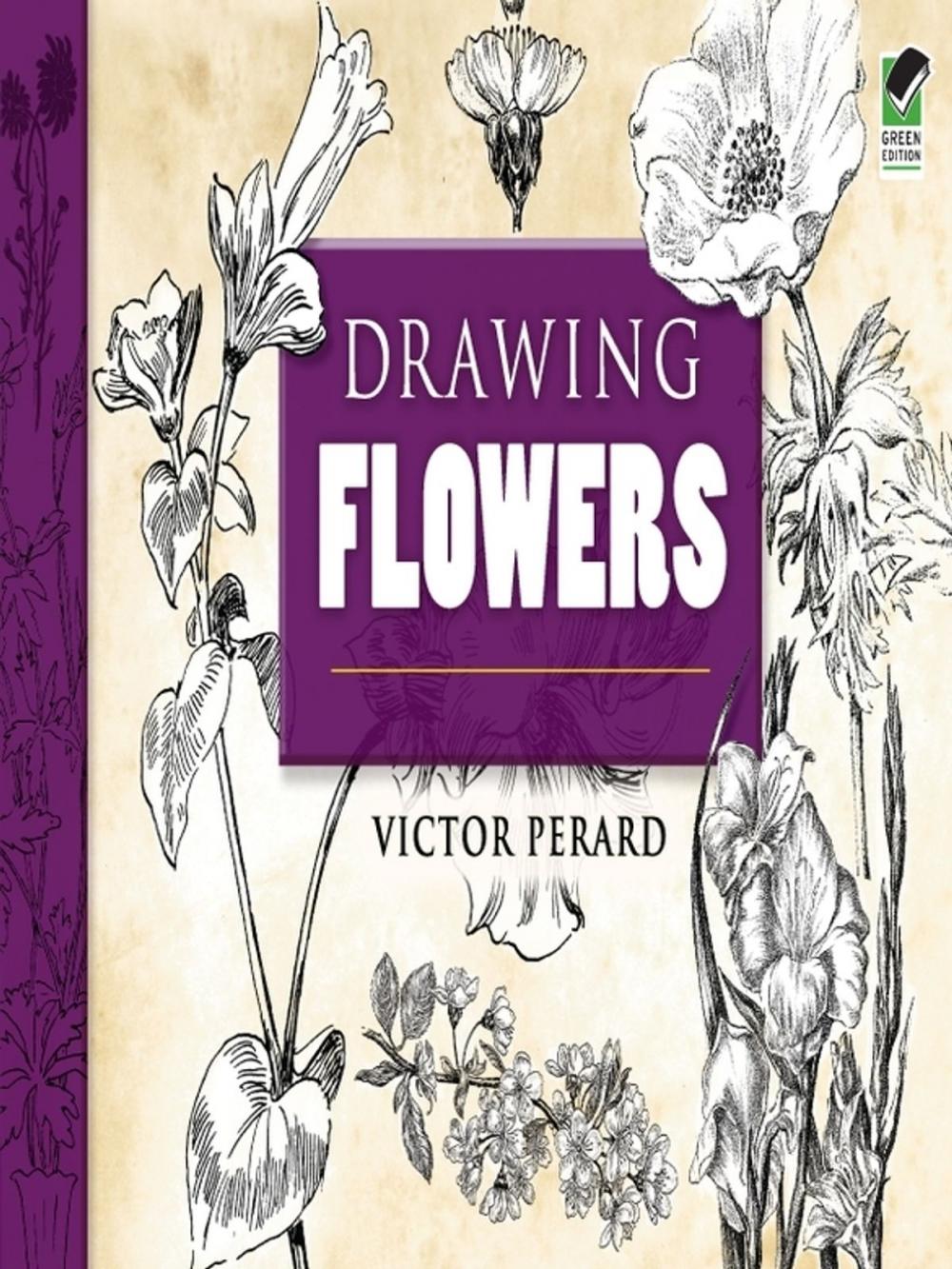 Big bigCover of Drawing Flowers