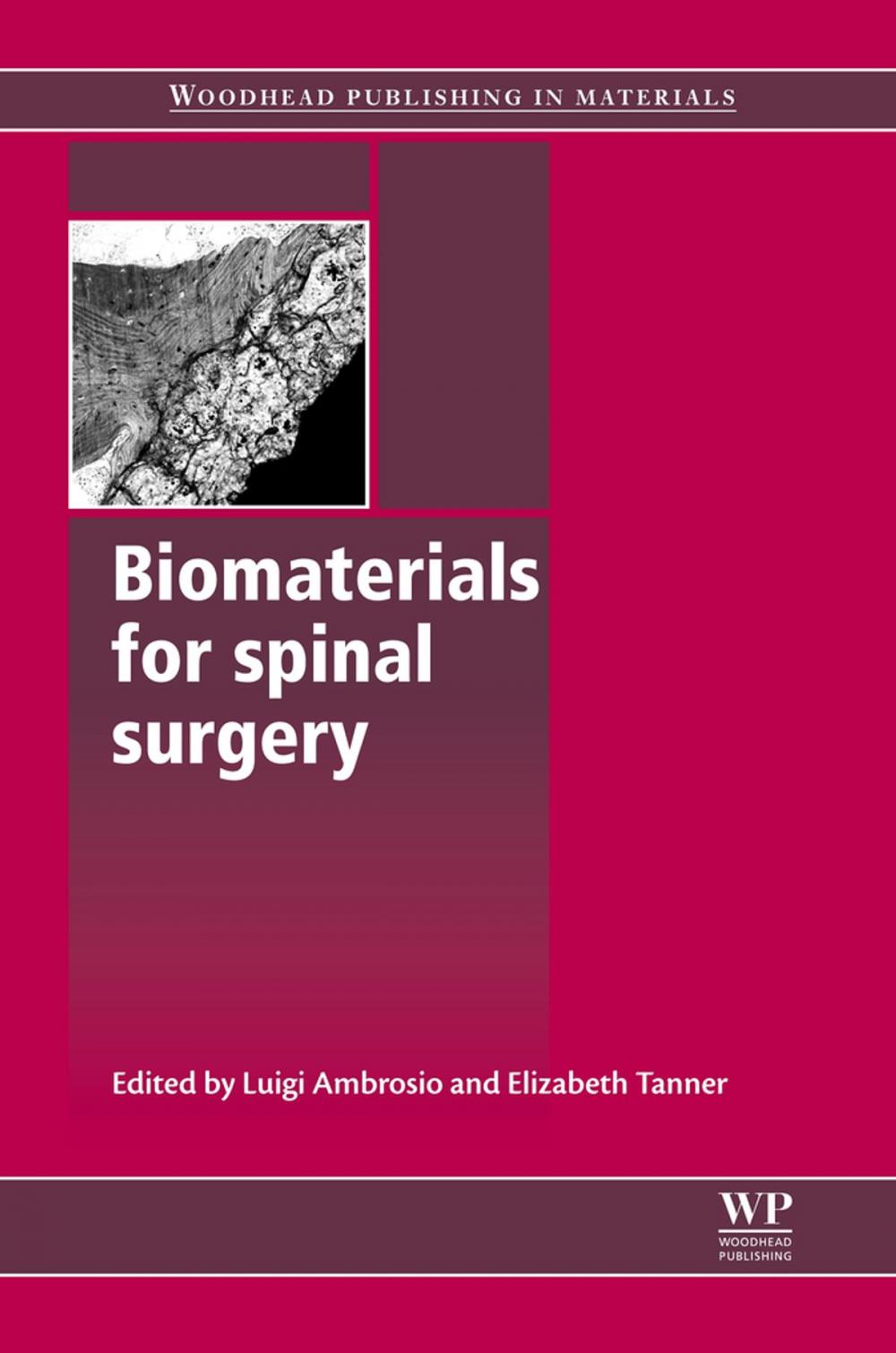 Big bigCover of Biomaterials for Spinal Surgery