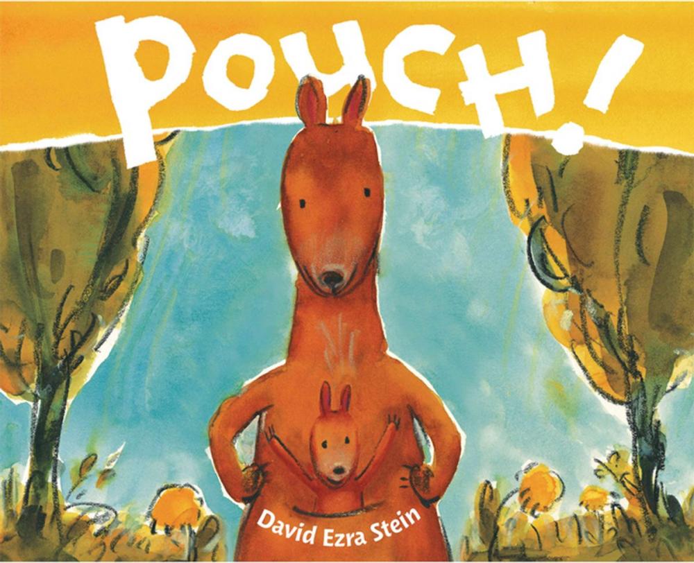 Big bigCover of Pouch!