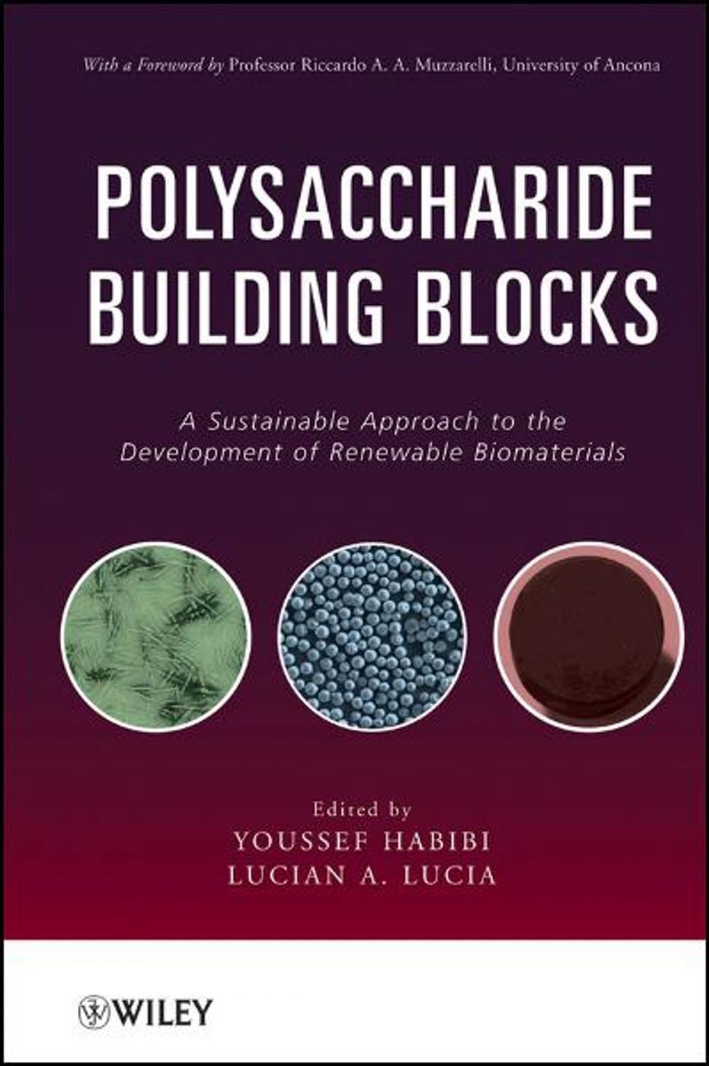 Big bigCover of Polysaccharide Building Blocks