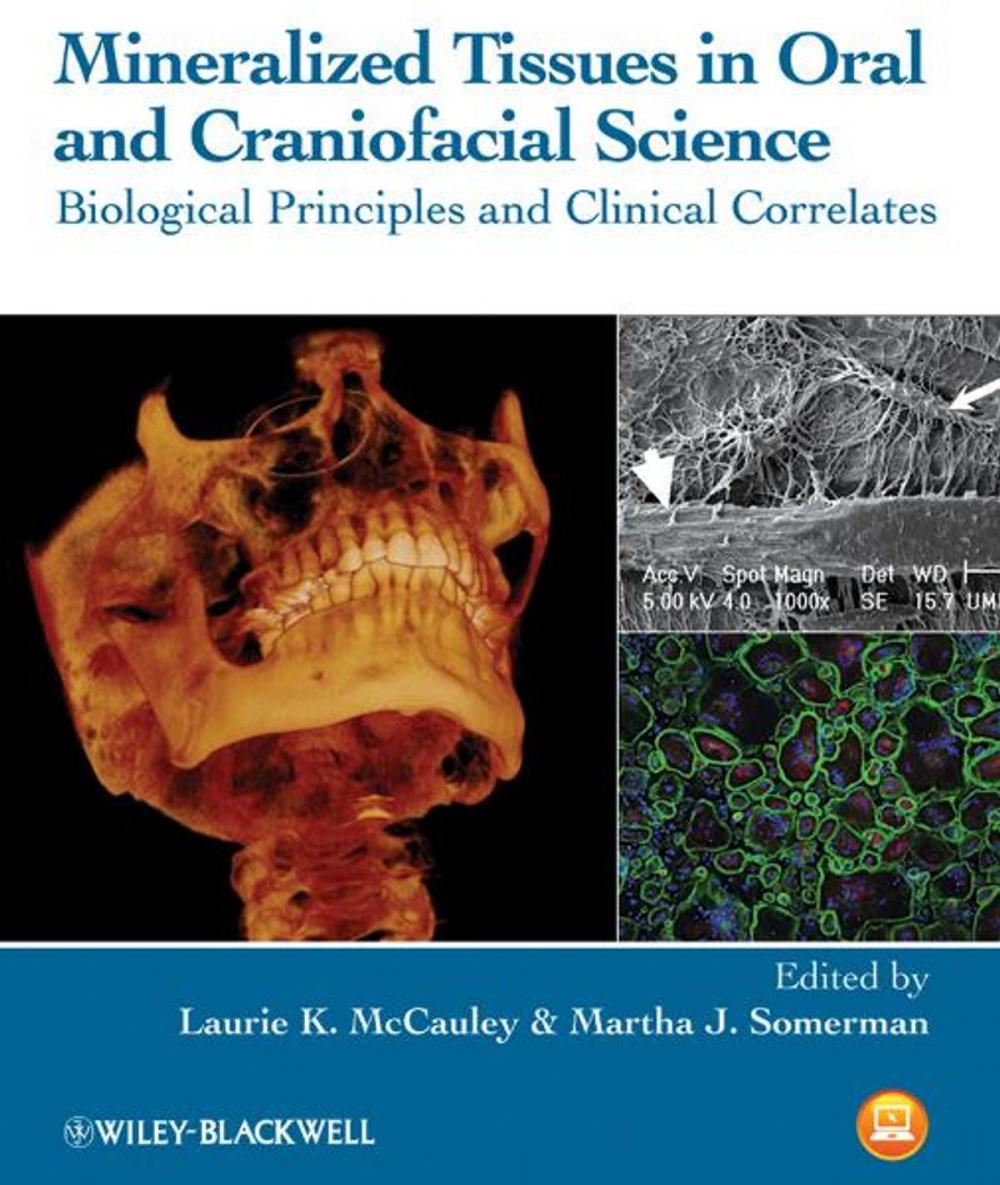 Big bigCover of Mineralized Tissues in Oral and Craniofacial Science