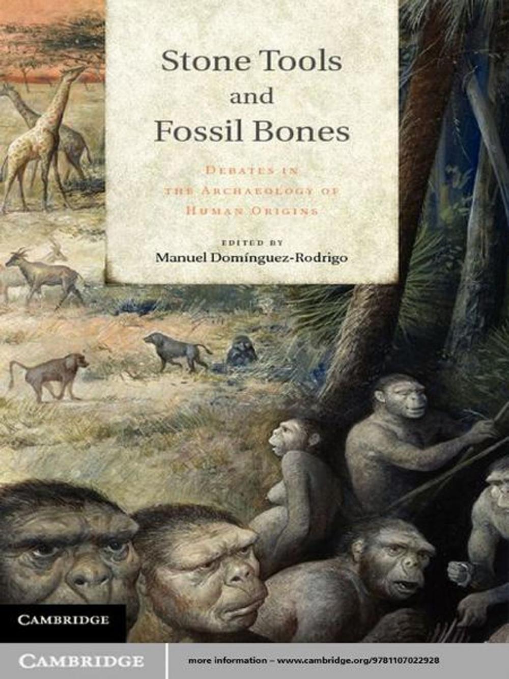 Big bigCover of Stone Tools and Fossil Bones