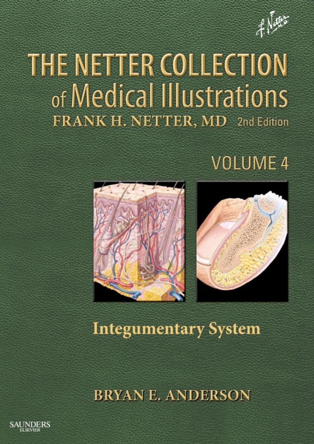 Big bigCover of The Netter Collection of Medical Illustrations - Integumentary System E-Book