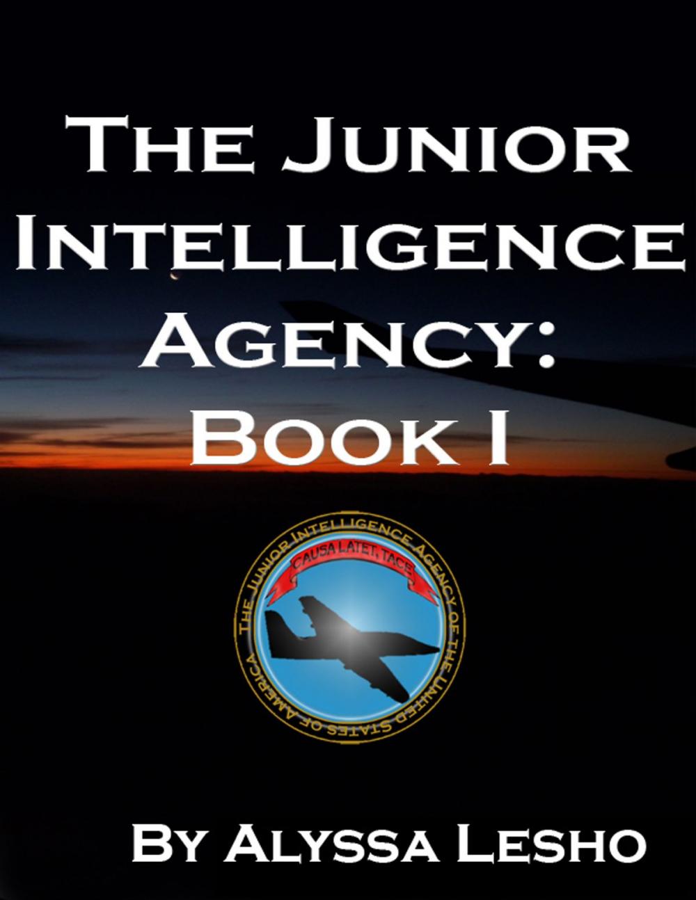 Big bigCover of The Junior Intelligence Agency: Book 1
