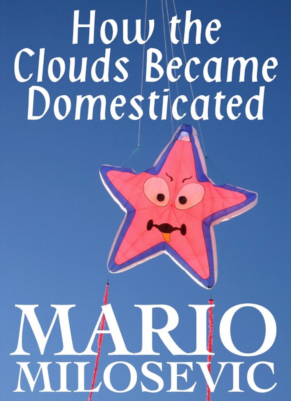 Big bigCover of How the Clouds Became Domesticated