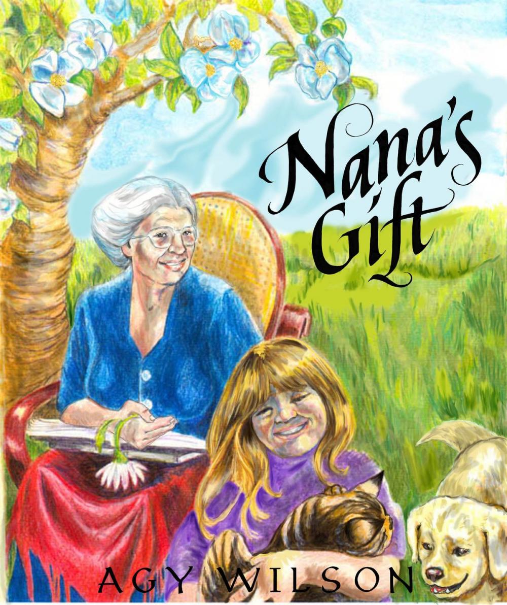 Big bigCover of Nana's Gift