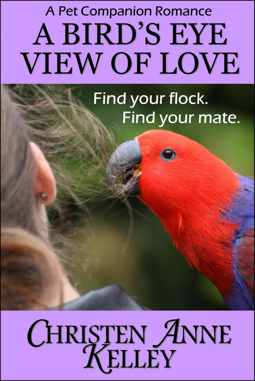 Big bigCover of A Bird's Eye View of Love