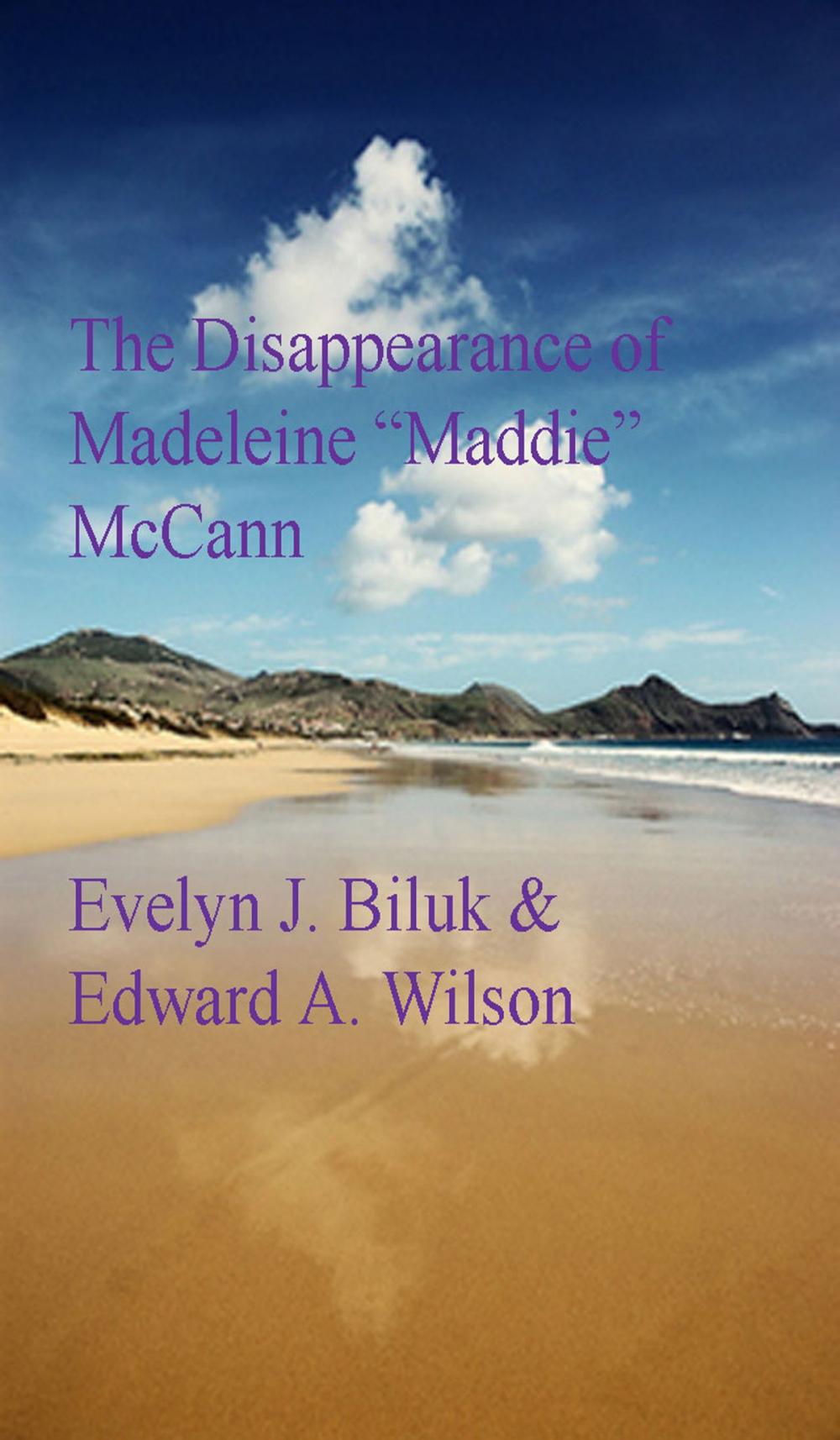 Big bigCover of The Disappearance of Madeleine Maddie McCann