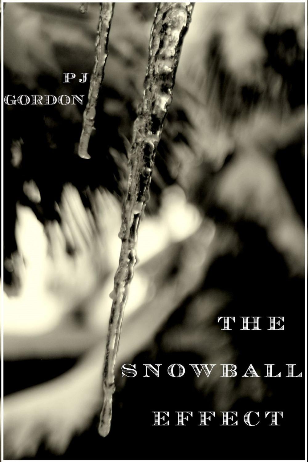 Big bigCover of The Snowball Effect