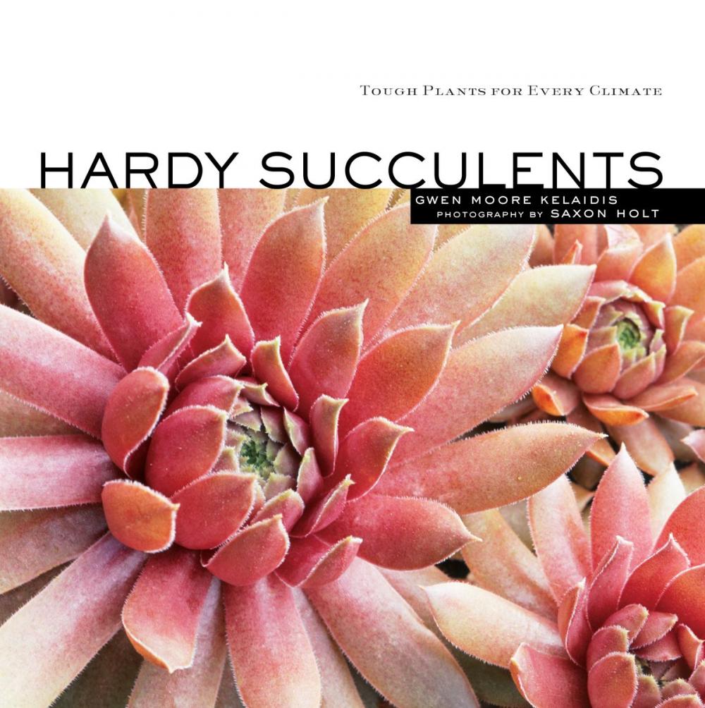 Big bigCover of Hardy Succulents