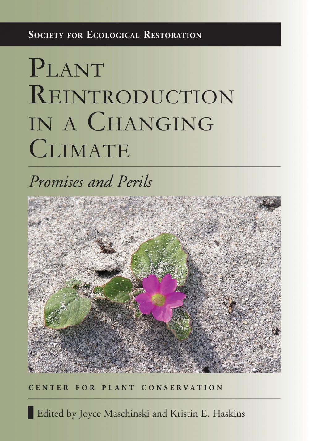 Big bigCover of Plant Reintroduction in a Changing Climate