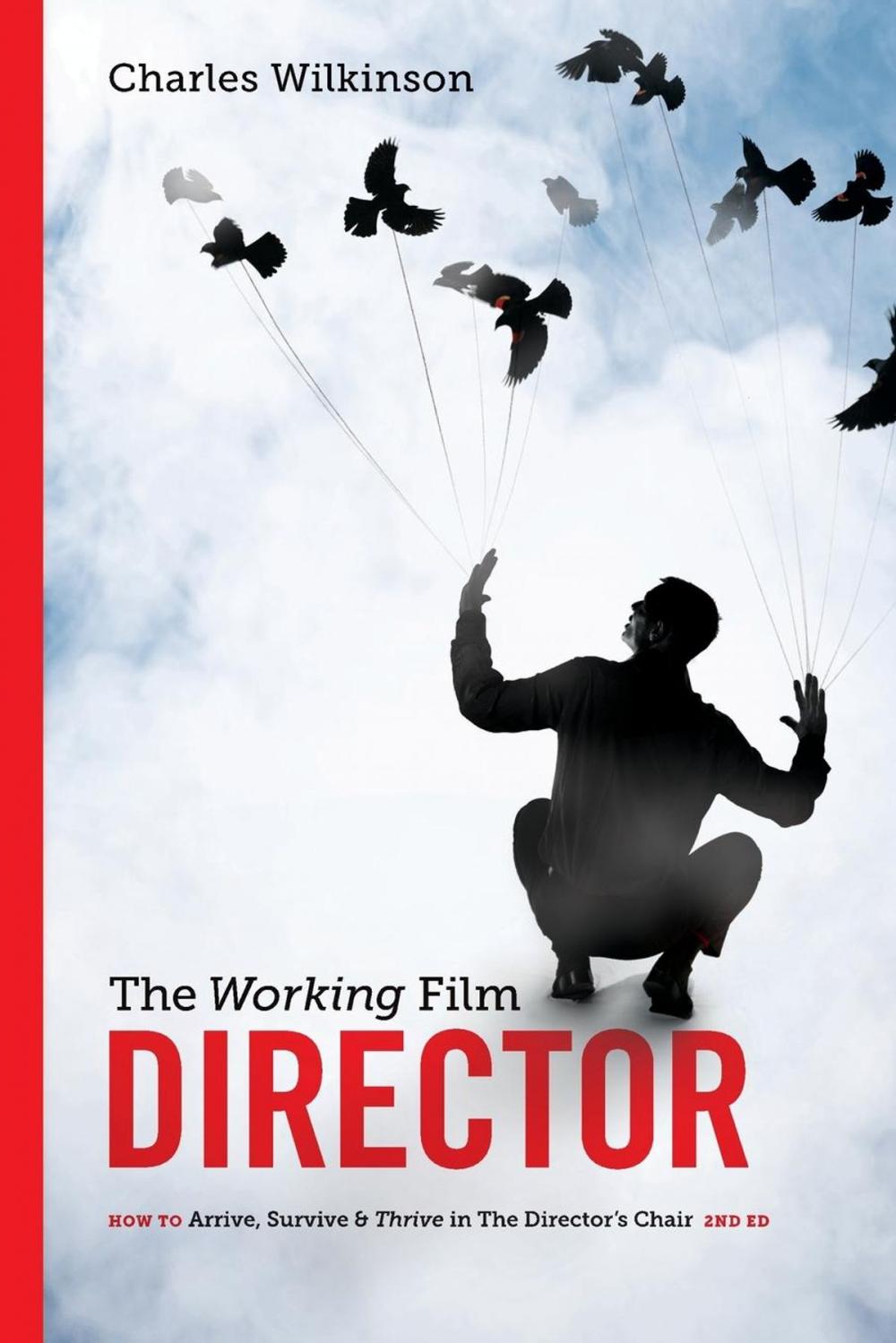 Big bigCover of The Working Film Director-2nd edition