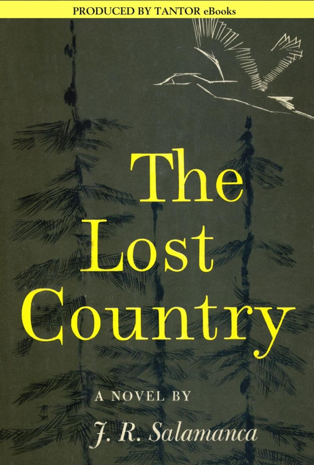 Big bigCover of The Lost Country