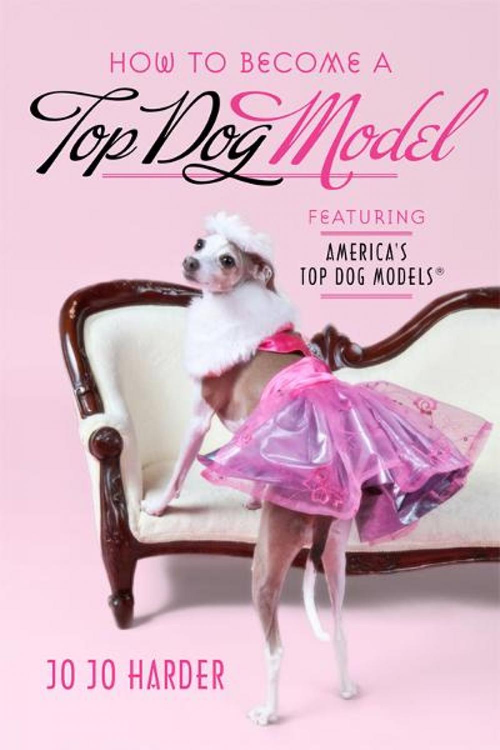 Big bigCover of How to Become a Top Dog Model