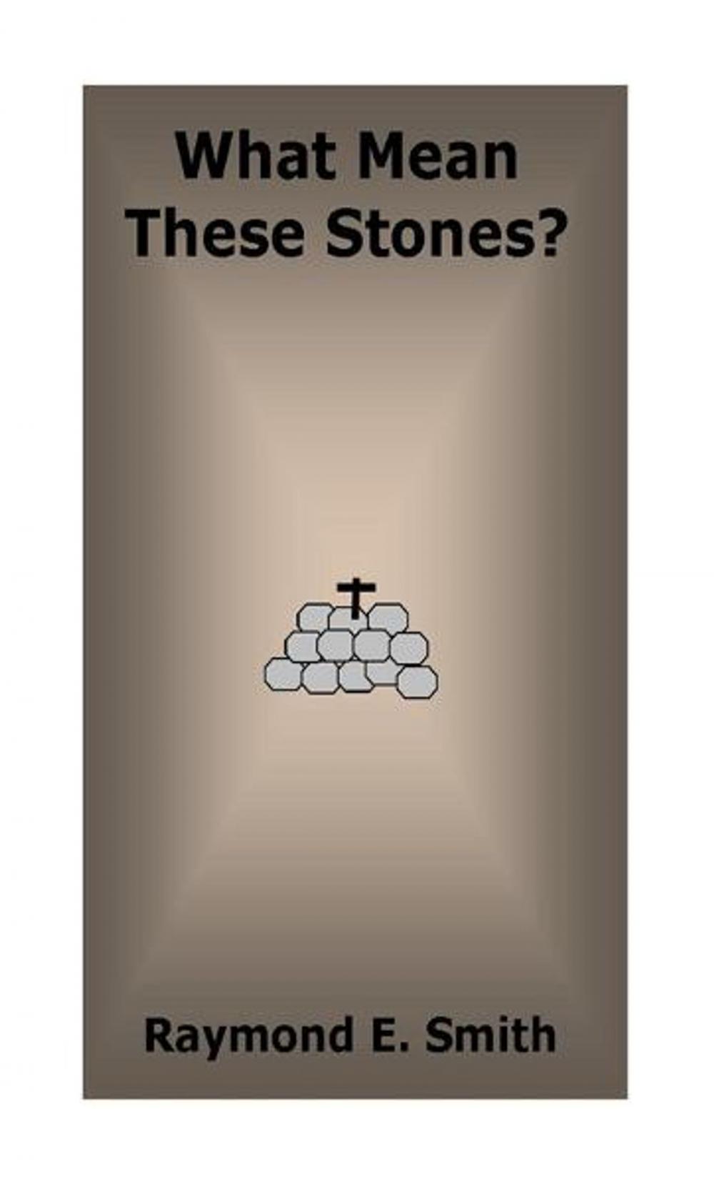 Big bigCover of What Mean These Stones?