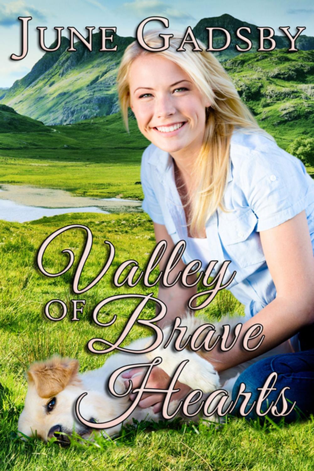 Big bigCover of Valley of Brave Hearts