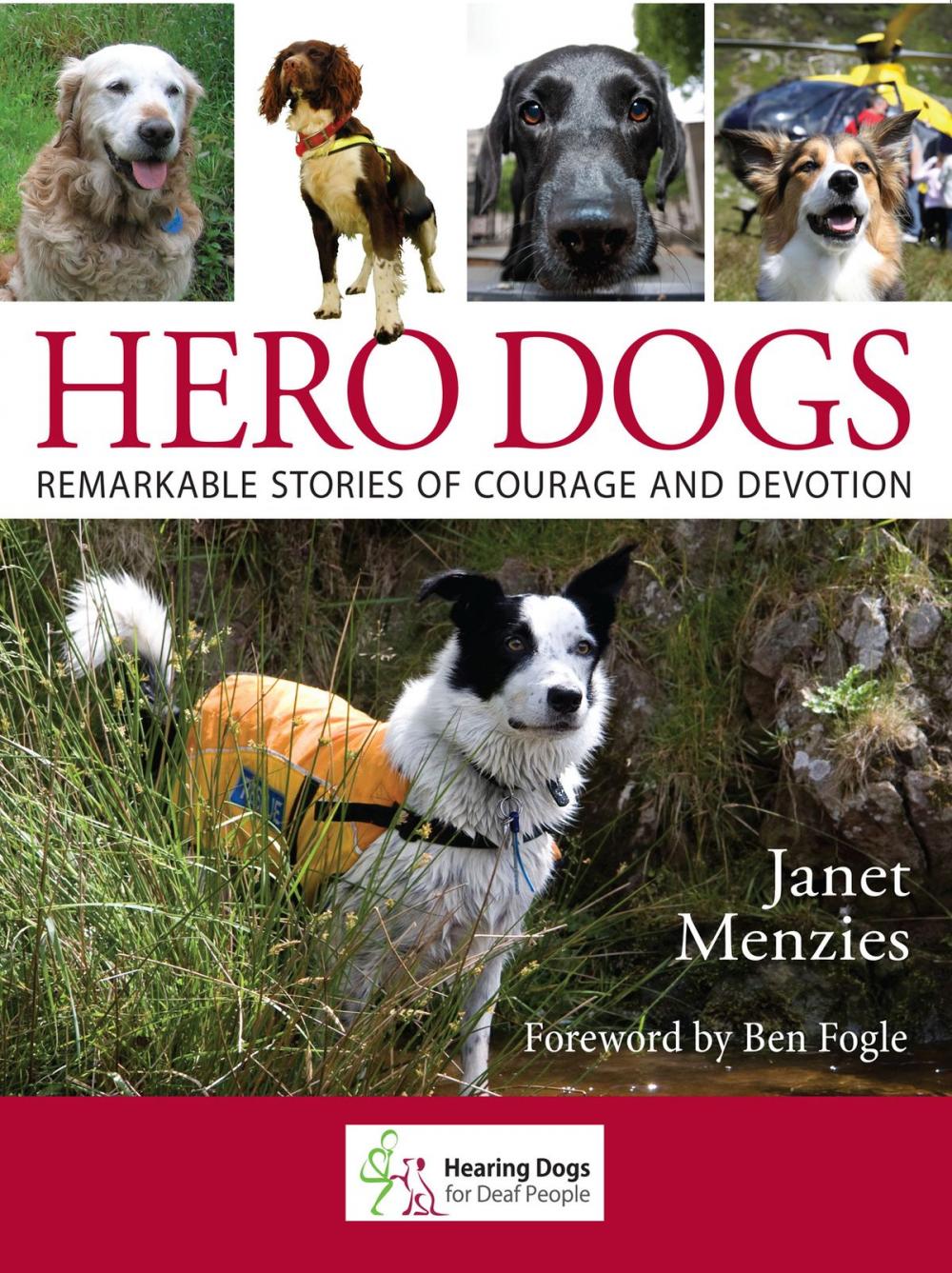 Big bigCover of Hero Dogs