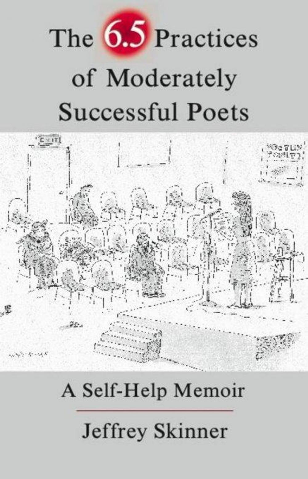 Big bigCover of The 6.5 Practices of Moderately Successful Poets