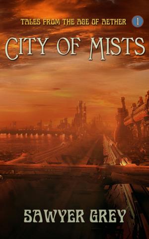 Cover of the book City of Mists by S.R. PELTIER