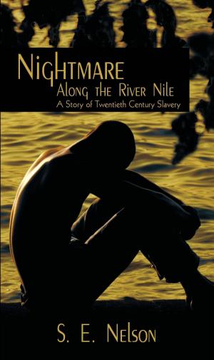 Cover of the book Nightmare Along the River Nile by Daniel O. Bachmann